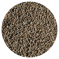 Image of Hemp Seed
