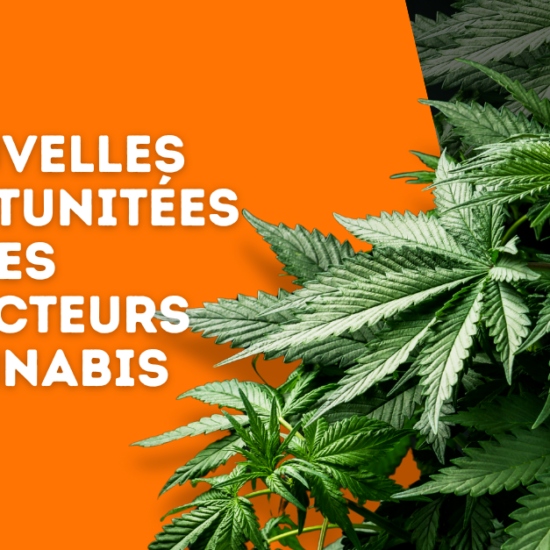 Image de Blogue sur les Nouvelles Réglementations sur le Cannabis au Canada