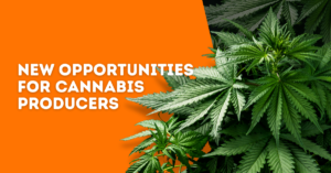 New Cannabis Packaging Regulations